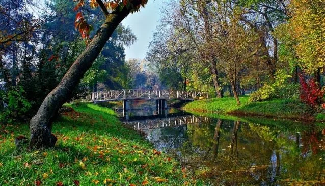 City Park