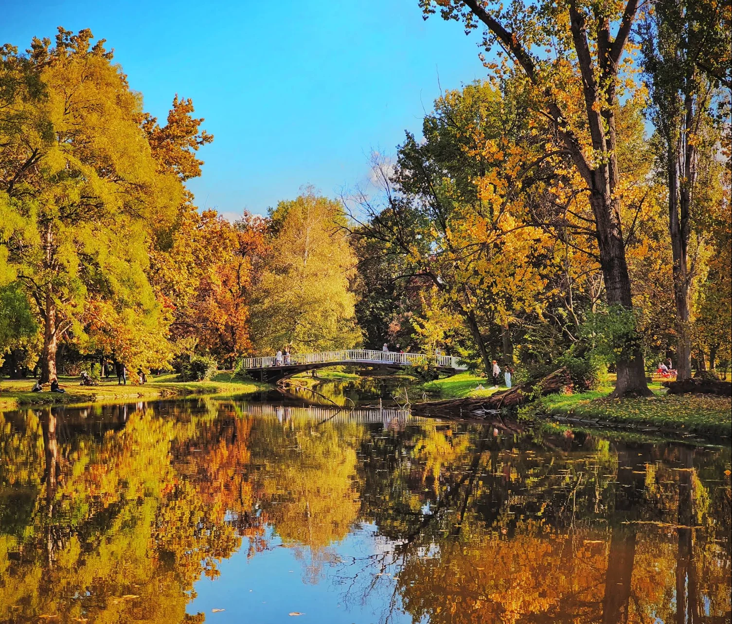 City Park